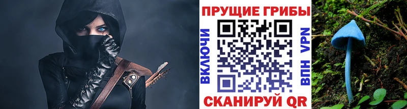 где продают мега ссылки Псилоцибиновые грибы Psilocybe Фрязино